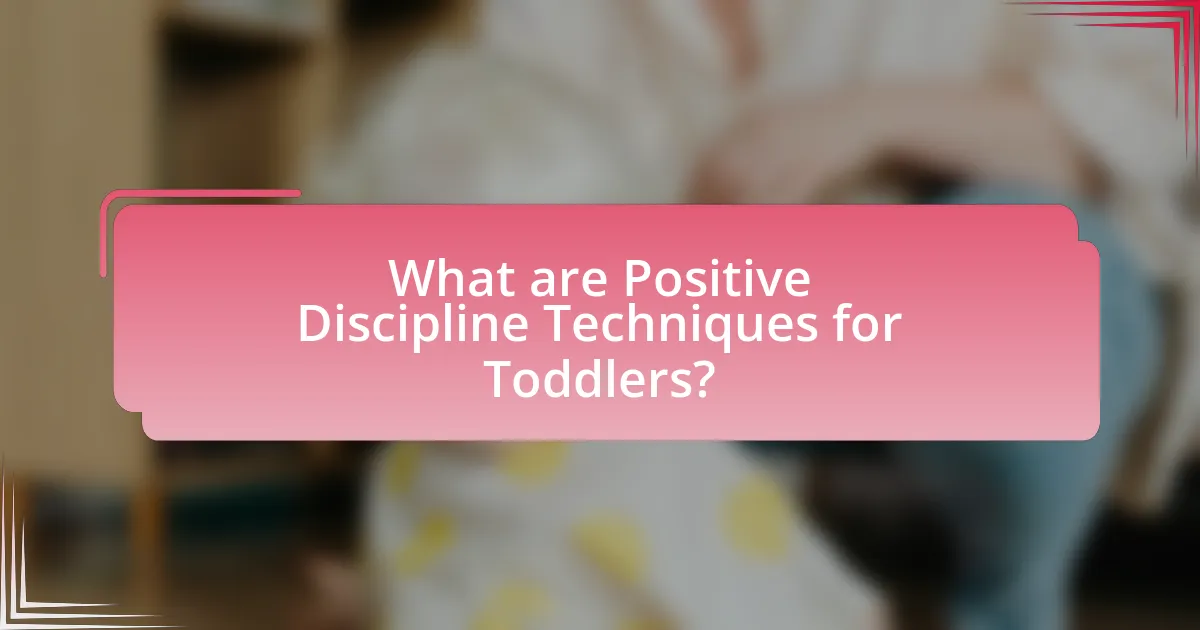 What are Positive Discipline Techniques for Toddlers?